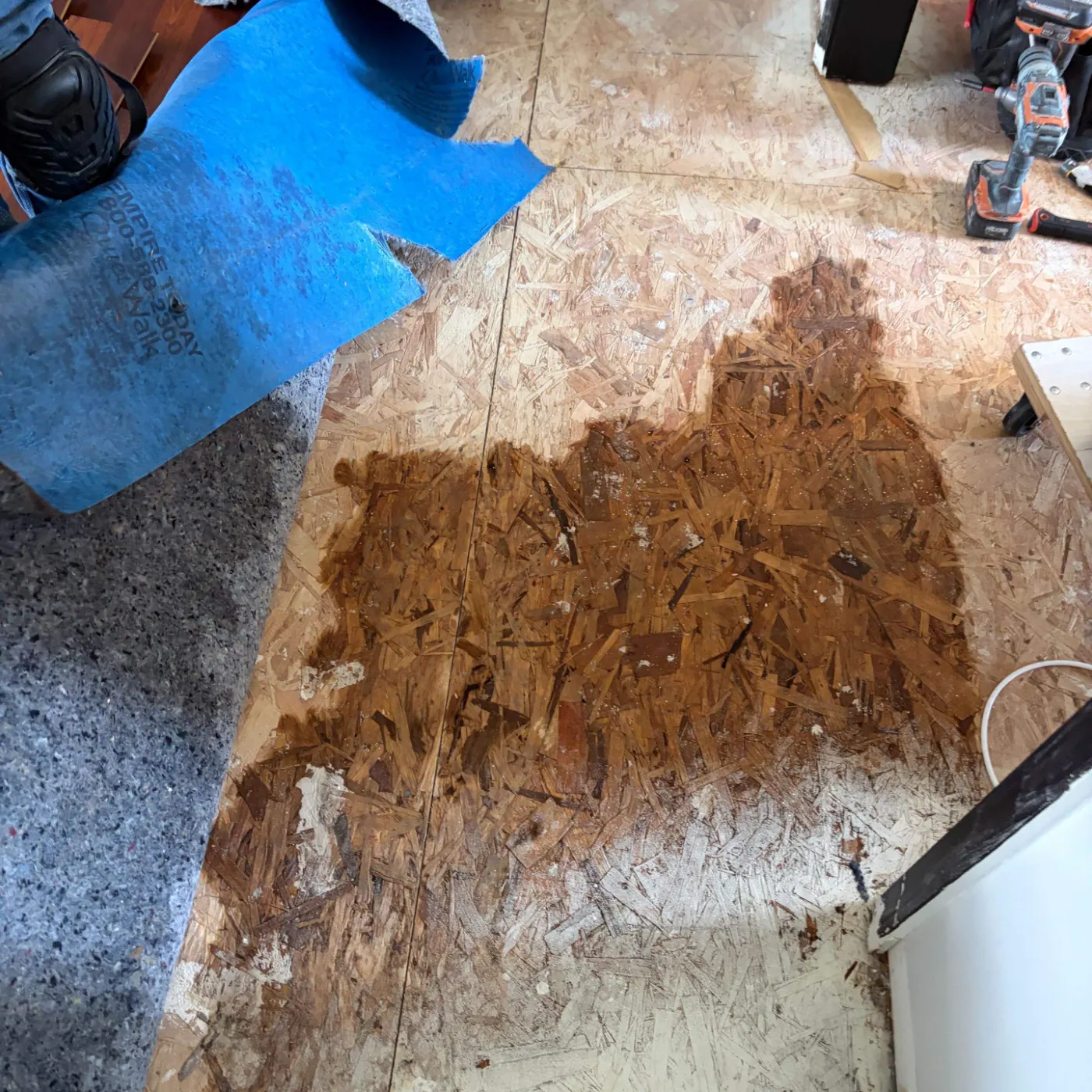 Moisture meter reading on drywall in Geist Cove water loss
