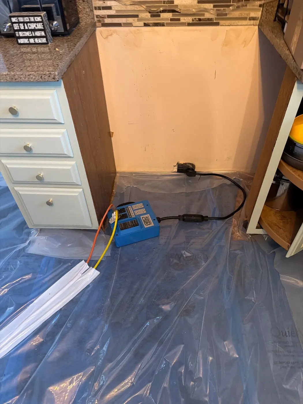 Thermal imaging during water damage assessment in Geist Cove residence